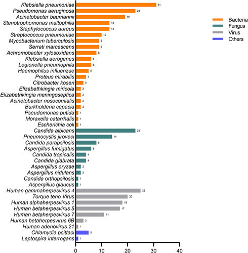 Figure 2 Different pathogenic organisms (in numbers) in mNGS.