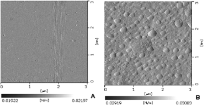 Figure 1 Atomic force microscopy pictures of (A) a polyvinyl formal membrane and (B) a lactase and galactose oxidase immobilized polyvinyl formal membrane.