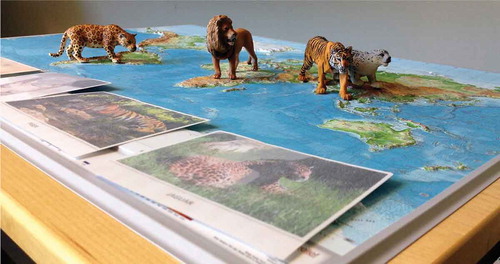 Figure 2. Figurines, photographs of the big cats, and a topographic world map were provided in the discussions.
