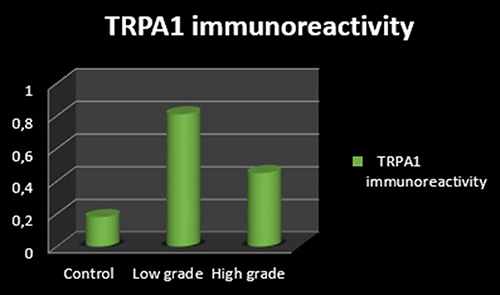 Figure 4 TRPA1 immunoreactivity.