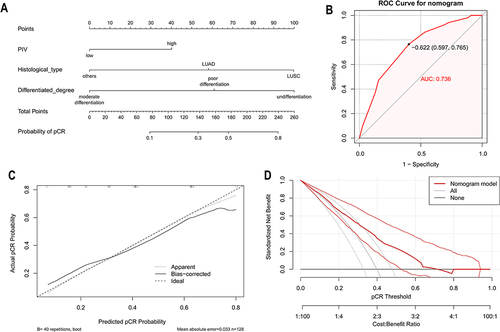 Figure 3 Development and validation of the nomogram. (A) The nomogram for predicting pCR for NSCLC patients after neoadjuvant immunochemotherapy, according to which, each variable could be assigned a score on the point scale, by adding up the total score and locating it on the total point scale, we could draw a straight line down to determine the estimated probability of pCR; (B) the receiver operating characteristic curve for the nomogram; (C) the calibration plots for the nomogram. Predicted and actual pCR probability were respectively plotted on the X-axis and the Y-axis. The 45-degree dashed lines through the coordinate origin represent the excellent calibration models; (D) the decision curve analysis of the clinical value for the nomogram indicated that when the nomogram is used to predict the risk (probability) of pCR, patients could obtain better clinical benefits within wide range of risk (probability) threshold. The gray curve represents the hypothesis that all patients with NSCLC undergoing neoadjuvant immunochemotherapy. The black line represents the hypothesis that all NSCLC patients do not undergo neoadjuvant immunochemotherapy.