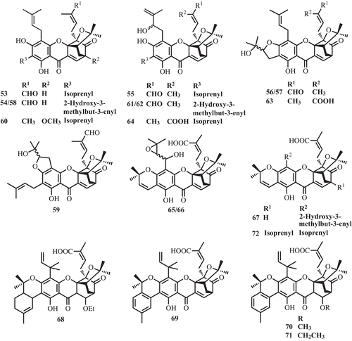 Figure 3.  Prenylated caged xanthones from G. gaudichaudii.