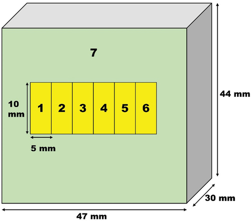 Fig. 1. Schematic diagram of the detector crystal.[Citation21] The detector is segmented into a total of seven segments, and the full volume information is obtained from the back unsegmented electrode.