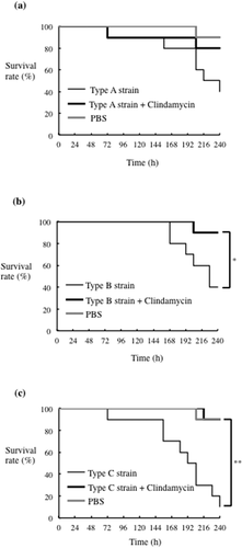 Figure 6. Effect of clindamycin on infection of silkworm larvae with different P. gulae strains. Larvae (n = 10) were injected with a 50-μl of P. gulae suspensions (5 × 107 CFU) (a) strain ATCC51700 (type A), (b) strain D040 (type B), or (c) strain D049 (type C), and a 50-μl solution of 0.4 μg/ml clindamycin, and incubated at 37°C. The survival rate was recorded for the time points indicated. PBS was used as a negative control. Data are representative of three independent experiments. Survival rates in the silkworm larvae in each group were evaluated with a Kaplan-Meier plot, which was analyzed by a log-rank test. *P < 0.05; **P < 0.01