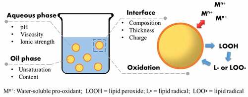 Figure 2. Mechanism and factors of lipid oxidation in the oil-in-water emulsions.