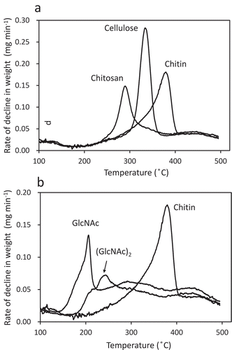 Figure 2. Thermogravimetric analysis of soil supplemented with cellulose or chitosan powder (A) and with N-acetylglucosamine (GlcNAc) or N,N'-diacetylchitobiose [(GlcNAc)2] (B) in comparison that with chitin powder. Rates of decline in weight are plotted. The content of each supplement added to soil was set to 60 g kg−1.