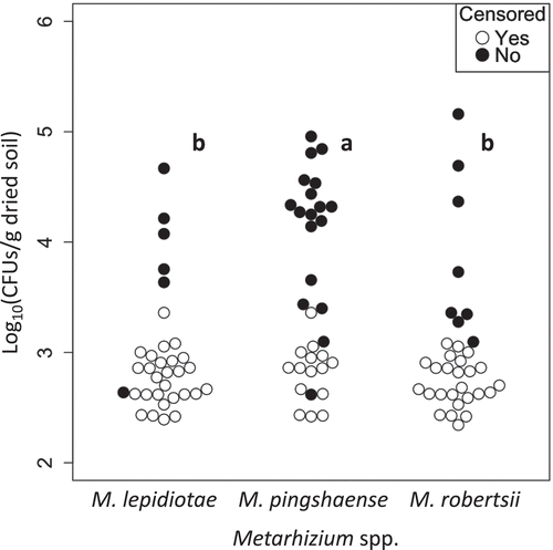 Figure 4. Comparisons of densities among the three Metarhizium spp. in rhizosphere soils of wild flowers (n = 33). Closed circles indicate the densities of Metarhizium spp. calculated from the number of CFUs observed on selective agar plates. Open circles indicate the detection limits of CFUs for non-detected samples (zero values were treated as censored data that are censored at their detection limits). Plot clusters with the same letters are not significantly different (p > 0.01; generalised Wilcoxon test with Bonferroni-adjusted p values).
