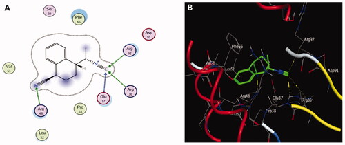 Figure 7. The two-dimensional (A) and three-dimensional (B) suggested binding modes of compound 4 within the binding pocket of TMK (PDB: 4QGG).