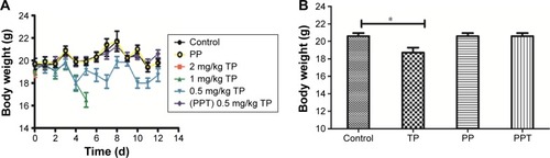 Figure 6 Body weight changes of different groups.Notes: (A) Body weight changes of TP-treated mice by tail vein injection. (B) Body weight changes of different groups on the last day. Three-month-old C57/B6 mice were treated with TP (2, 1, and 0.5 mg/kg of TP) or PPT (equal to 0.5 mg/kg TP). The body weight was recorded every day. Values are the mean ± SD of seven mice per group.*P<0.05 vs control group.Abbreviations: d, days; PP, l-PAE-γ-PGA complex; l-PAE, l-phenylalanine ethylester; γ-PGA, poly-γ-glutamic acid; TP, triptolide; PPT, γ-PGA-l-PAE-TP; SD, standard deviation.