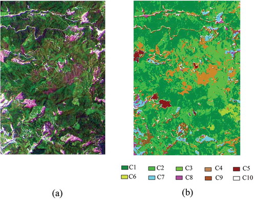 Figure 6. (a) Hyperion hyperspectral image (RGB: 150/48/31) and (b) SVM classification image of the optimized PRBF in experimental area 2.