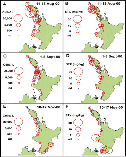 Figure 13 The distribution of G. catenatum cell numbers (A, C, E) and PST contamination (B, D, F) in shellfish around the North Island coast, August–November 2000. A and C, show the cruise tracks and distribution of cells in samples collected offshore from the MV Spirit of Resolution.