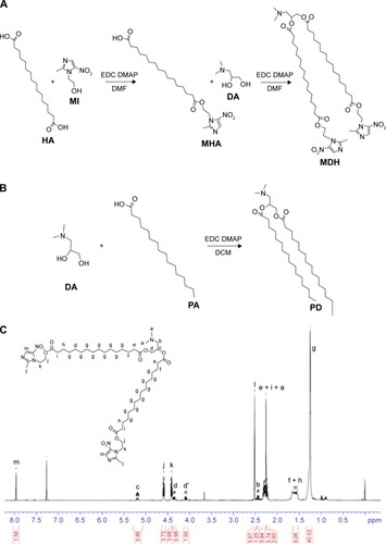 Figure 1 The synthetic routes of MDH and PD.Notes: (A) The synthetic routes for MDH lipid molecules. (B) The synthetic routes for PD lipid molecules. (C) 1H NMR spectra of MDH (400 MHz, CDCl3).Abbreviations: DA, 3-dimethylaminopropane-1, 2-diol; HA, hexadecanedioic acid; MDH, malate dehydrogenase; EDC, 1-ethyl-(3,3-dimethylaminopropyl carbodiimide); DMAP, dimethylaminopyridine; MI, 2-methyl-5-nitroimidazole-1-ethanol; MHA, (16-(2-(2-methyl-5-nitro-1H-imidazol-1-yl) ethoxy)-16-oxohexadecanoic acid; PD, Bis(palmitoyloxy)-3-(dimethylamino)propane; PA, polyamide; DMF, dimethylformamide; NMR, nuclear magnetic resonance.