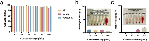 Figure 5 In vitro and in vivo biocompatibility assay. (a) Relative cell viabilities of 3T3, Lewis, and RAW264.7 cells exposed to different concentrations of M@SHDS for 24 h; (b and c) The hemolysis assay of various concentrations of M@SHDS and MDR@SHDS.