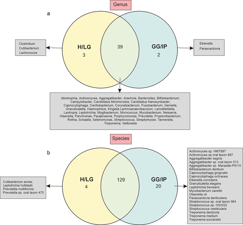 Figure 3. Venn diagram depicting shared oral microbiota among the GG/IP and H/LG groups, including only taxa at (a) genus and (b) species levels, present in at least 90% of samples in each group. H/LG: healthy/localized gingivitis, GG/IP: generalized gingivitis/initial periodontitis.