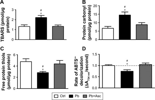 Figure 3 SM from cerebral cortices of rat pups exposed to Pb show increased oxidative damage to lipids and proteins and have reduced antioxidant capacity and their redox status is rescued by ascorbic acid supplementation.