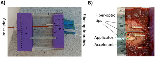 Figure 3. (A) Fixture template for holding liver sample, applicator and fiber optic probes and B) sample of position measurement of applicator and fiber optic probes with respect to injected gel after heating.