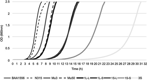 Figure 4 Growth rate of strain TMUS2136 isolates. Each strain was incubated in BHI broth with mixing by inversion, and the optical density at 660 nm versus time was plotted for each strain. BAA1556 is a USA300 clone categorized as community-associated MRSA and N315 is a New York/Japan clone categorized as hospital-associated MRSA. Compared with these two strains with standard growth rates, the hetero-VISA strain Mu3 and the VISA strain Mu50 showed slower growth, and five strains (1L-L, 1L-S, 1S-L, 1S-S, and 3S) showed even slower growth. Furthermore, strains with smaller colonies displayed slower growth rates among the five strains.Abbreviations: MRSA, methicillin-resistant Staphylococcus aureus; VISA, vancomycin-intermediate Staphylococcus aureus.