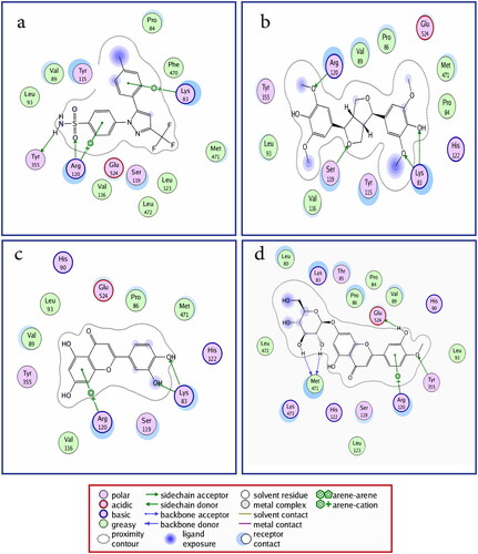 Figure 3. 2D binding mode and residues involved in the recognition of (a) celecoxib, the most potent compounds (b) 4, (c) 7, and (d) 8 docked and minimized in the COX-2 binding pocket.
