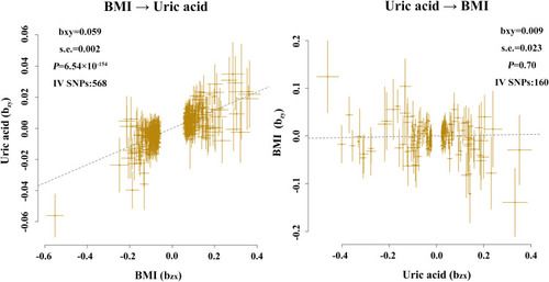 Figure 1 Casual association between uric acid and BMI.