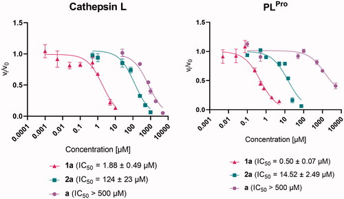 Figure 2. Effect of pyrithione complex with zinc 1a and with ruthenium 2a on cathepsin L and SARS-CoV-2 PLPro. The effect of pyrithione (ligand a) is also shown. Data are presented as mean ± S.E.M. (N = 3).