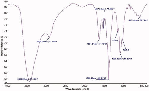 Figure 2 Fourier-transform infrared spectra: chitosan nanogel contain farnesol.