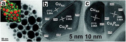 Figure 4. Figure 4 (a) ZL image and corresponding EFTEM map (inset) of Janus-like Cu-Cu3P nanoparticles. The presence of Cu and P in the EFTEM map are indicated in red and green, respectively; (b,c) HRTEM images of Janus-like Cu-Cu3P nanoparticles characterized by two different epitaxial relationships between the Cu and Cu3P domains. Adapted with permission from [Citation29]. Copyright [2012] American Chemical Society.