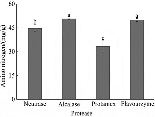 Figure 1. Enzymolysis effect of different commercial proteases on Acetes chinensis. There is a significant difference between different lowercase letters (P < .05).Figura 1. Efecto de la enzimólisis de diferentes proteasas comerciales en Acetes chinensis. Existe una diferencia significativa entre las distintas letras minúsculas (P < .05)