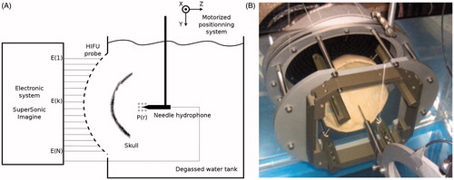 Figure 1. (A) Diagram of the experimental setup used to measure each propagation matrix. The circles around the hydrophone tip are examples of pressure measurement locations. (B) Photograph of the experimental setup showing the skull mounted on a stereotactic frame in front of the multi-element array.