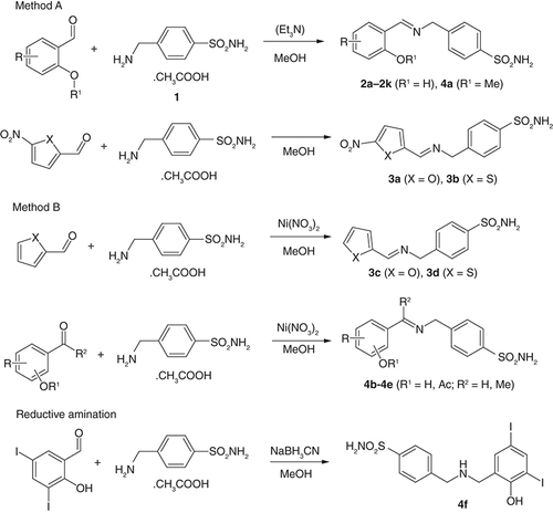 Figure 2. Synthesis of target mafenide-based compounds 2-4.