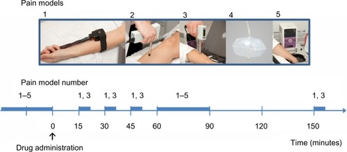 Figure 1 Graphical overview of the experimental procedure.