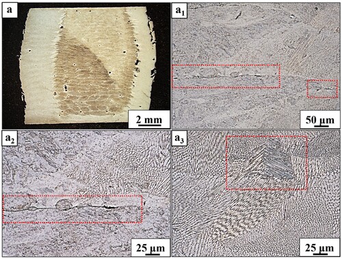 Figure 9. (a) Stereoscope image of the compressed macrostructure of the radial bimetallic specimen showing the bulging, (a1, a2) low magnification and high magnification of the interface of the compressed radial bimetallic sample showing the crack at the interface of the SS316L core and the 17–4 PH casing, (a3) twinning of the SS316L microstructure post compression.