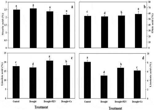 Figure 4. Effect of PEN and Ca on stearic acid (A), oleic acid (B), linoleic acid (C), and linolenic acid (D) in canola seed under drought. Vertical bars indicate mean ± SE of three replicates. Different letters above columns indicated significant (P < 0.05) differences.