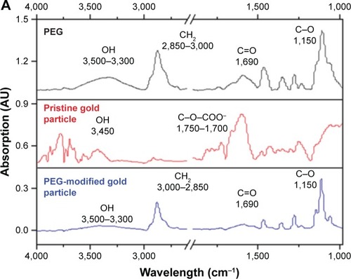 Figure 4 FT-IR spectra of (A) PEG-modified GNS and its starting materials and (B) PEG–OAm-modified GNS and its starting materials.Notes: Appearance of strong CH2 stretching frequency at 3,000–2,850 cm−1 polymer functionalization. The yellow arrow indicates the amide bond from PEG-OAm.Abbreviations: FT-IR, Fourier transformed infrared spectroscopy; GNS, gold nanoparticles; OAm, oleylamine; PEG, poly(ethylene glycol).