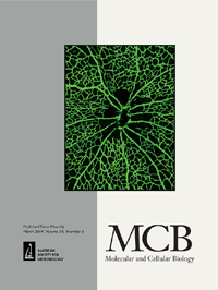 Cover image for Molecular and Cellular Biology, Volume 39, Issue 5, 2019