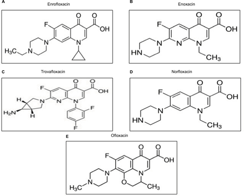 Figure 1 Chemical structures of fluoroquinolone antibiotics used in this study: (A) enrofloxacin, (B) enoxacin, (C) trovafloxacin, (D) norfloxacin, and (E) ofloxacin.