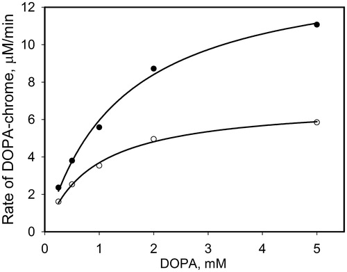 Figure 7. The initial rates of PO-mediated DOPA-chrome formation versus DOPA concentration with bolus addition of NO (25 μM, open circles) and without NO (close circles). The concentration of PO in mixtures was 20 units/ml.