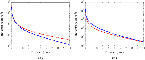 Figure 4. Comparison of the spatially resolved diffuse reflectance profiles obtained from MC simulation: (a) μa=0.04cm-1, μs′=4cm-1 (dotted line) and μa=0.29cm-1, μs′=4cm-1 (solid line) (b) μa=0.04cm-1, μs′=8cm-1 (dotted line) and μa=0.04cm-1 μs′=12cm-1 (solid line).