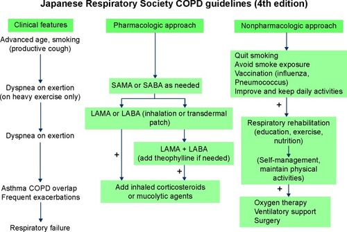 Figure 1 Algorithm of management of stable COPD in Japan.