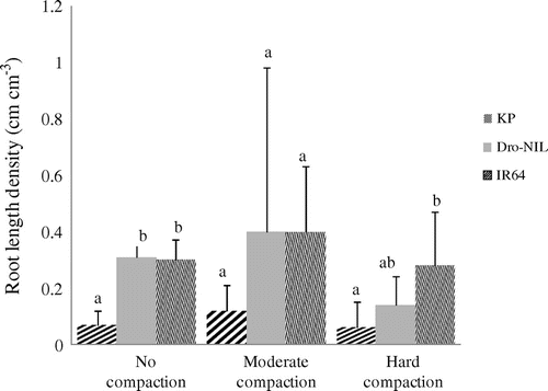 Figure 6. Comparison of the root length density (RLD) at a depth from 30 to 60 cm among the three genotypes (IR64, Dro1-NIL, and Kinandang Patong [KP]) in the three soil compaction treatments: no compaction, moderate compaction, and hard compaction. Data were obtained on 2 September (128 DAS) 2014. Values are mean ± standard deviation (n = 3). For a given compaction treatment, bars labeled with the same letter differ significantly (p < .05, Tukey’s LSD test.