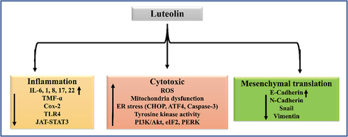 Figure 6. Representation of different biological activity and its associated molecular pathways of Luteolin.