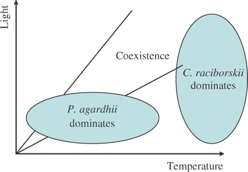 Fig. 1. Conceptual model of the relationship between Planktothrix agardhii and Cylindrospermopsis raciborskii with regard to temperature and light.