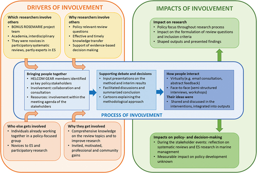 Figure 2. Framework for stakeholder involvement in research: applied to study the involvement activities in three systematic syntheses of ES in marine management (adapted from Oliver et al. Citation2015).