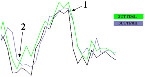 Figure 2. Illustration of prediction of Sutte Indicator.