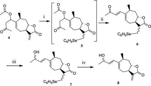 Scheme 2 Synthesis in the α-methylene-γ-lactone series: compound 8. Reagents: (i) Ph2Se2, NaBH4, EtOH; (ii) SiO2; (iii) NaBH4, MeOH; (iv) H2O2, CH2Cl2.