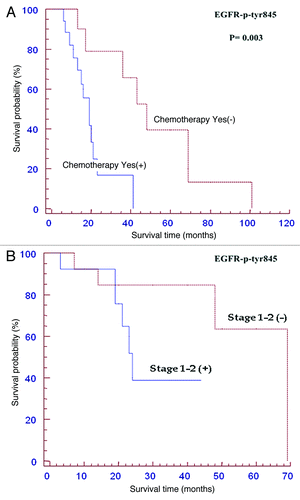 Figure 6. Kaplan Meier curves of patients positive forp-Tyr-845 EGFR expression subjected to adjuvant chemotherapy (A) or with early stage tumours (B). Among patients receiving adjuvant chemotherapy p-Tyr 845 negative cases had a better survival (p<0.05). Among T1-T2 tumors p-Tyr 845 negative cases had a better survival (p<0.05). See the text for details.