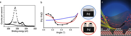 Figure 3. Operando XPS study of CO oxidation on Pd(100). (a) An example of peak fitting for the Pd 3d5/2 peak with two components, a metal peak based on pure components shown with a dotted line and an oxide with a dashed line. (b) Ratio of metal to oxide peak intensity as a function of angle with two calculated models. (c) Metallic Pd forms on top of PdO during the reaction. Reproduced from Ref. [Citation10].