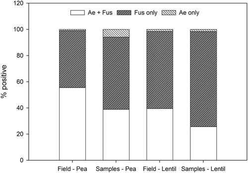 Fig. 7. Per cent of pea and lentil fields and samples (sites) that were positive for either A. euteiches and F. avenaceum and/or F. solani (Ae+ Fus); F. avenaceum and/or F. solani (Fus only); or A. euteiches (Ae only).
