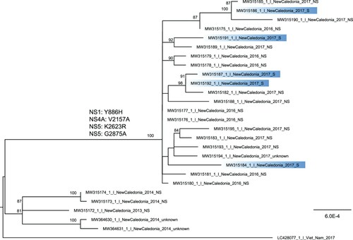 Figure 1. Phylogenetic tree of DENV-1 whole-genome sequences retrieved from dengue patients sera from 2013–2014 and 2016–2017. Whole-genome sequences retrieved from severe forms are highlighted in blue. The tree is midpoint rooted and bootstrap values above 80% are indicated. Two DENV-1 genomes from strains retrieved in NC in 2014 are displayed on the tree. The four amino acid substitutions detected in strains from 2016–2017 in comparison to strains from 2013–2014 are indicated.