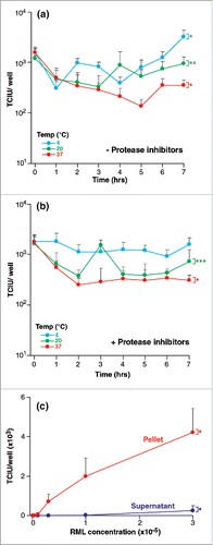 FIGURE 2. (See next page). Stability of RML prions after various treatments. Infectivity of RML brain homogenate (I6200) was quantified with the ASCA as Tissue Culture Infectious Units (TCIU),. (a,b) Incubation at different temperatures- 10% w/v RML brain homogenate with (a) and without (b) protease inhibitors was incubated without agitation at 4, 20 and 37°C for 7 hours. Aliquots were removed every hour. (c) Centrifugation- RML brain homogenate was centrifuged for 10 min at 13,200 rpm. The pellet was resuspended to the original starting volume and assayed with the supernatant fraction. Statistical analyses were performed using a two tailed t-test (n = 6 assay replicates for each condition). For data in (a) and (b) time = 0 was compared to time = 7 hours (% p < 0.0001; %% p0.0053, %%% p = 0.0045), in panel (c) the partition between pellet and supernatant at the highest concentration of RML was compared (% p < 0.0001).