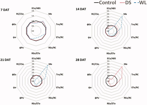 Figure 6. Radar plots of several chlorophyll fluorescence parameters (ECo/ABS, Mo, TRo/RC, ETo/RC, REo/RC, REo/ETo, ΦPO, ΦEO, ΨO and RC/CSo) of Prunus yedoensis under different water conditions. The values of the calculated parameters were shown as relative to those of the control (n = 5).